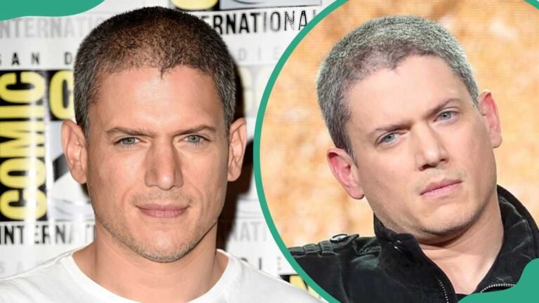 Wentworth Miller’s Partner